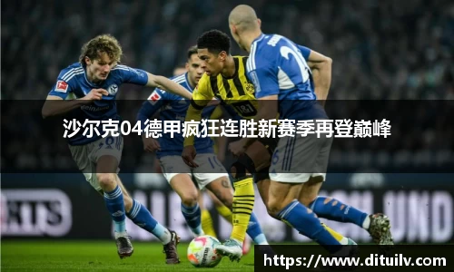 沙尔克04德甲疯狂连胜新赛季再登巅峰