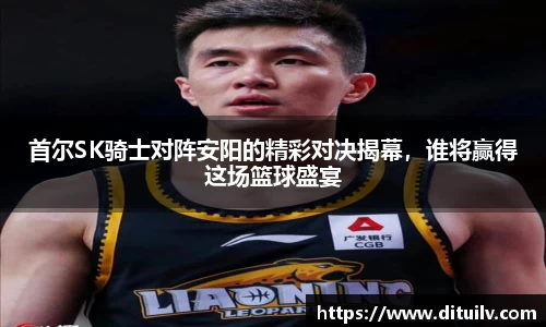 首尔SK骑士对阵安阳的精彩对决揭幕，谁将赢得这场篮球盛宴