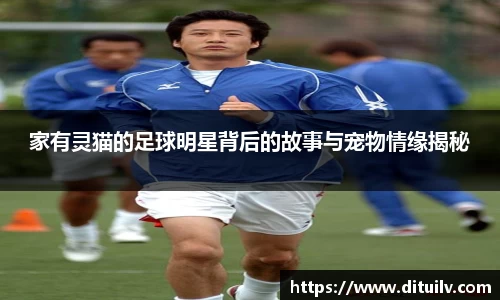 家有灵猫的足球明星背后的故事与宠物情缘揭秘