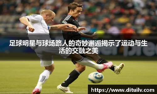 jn江南体育官网